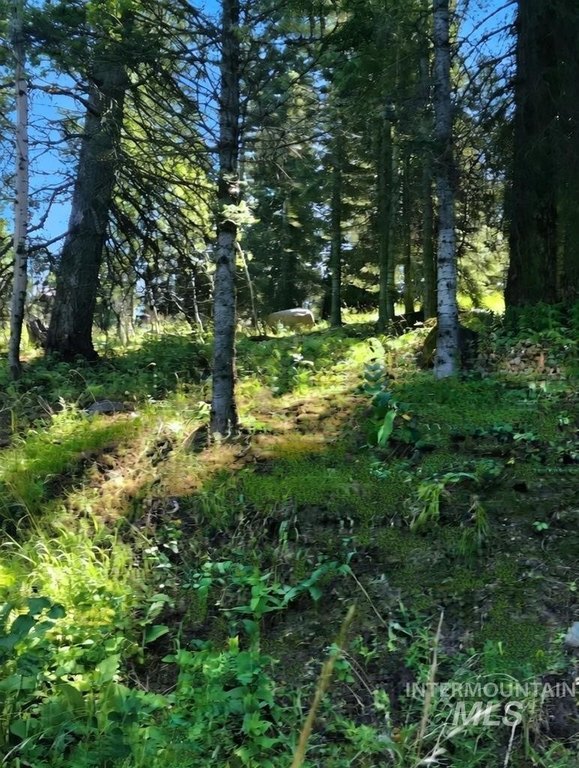 Picture 12