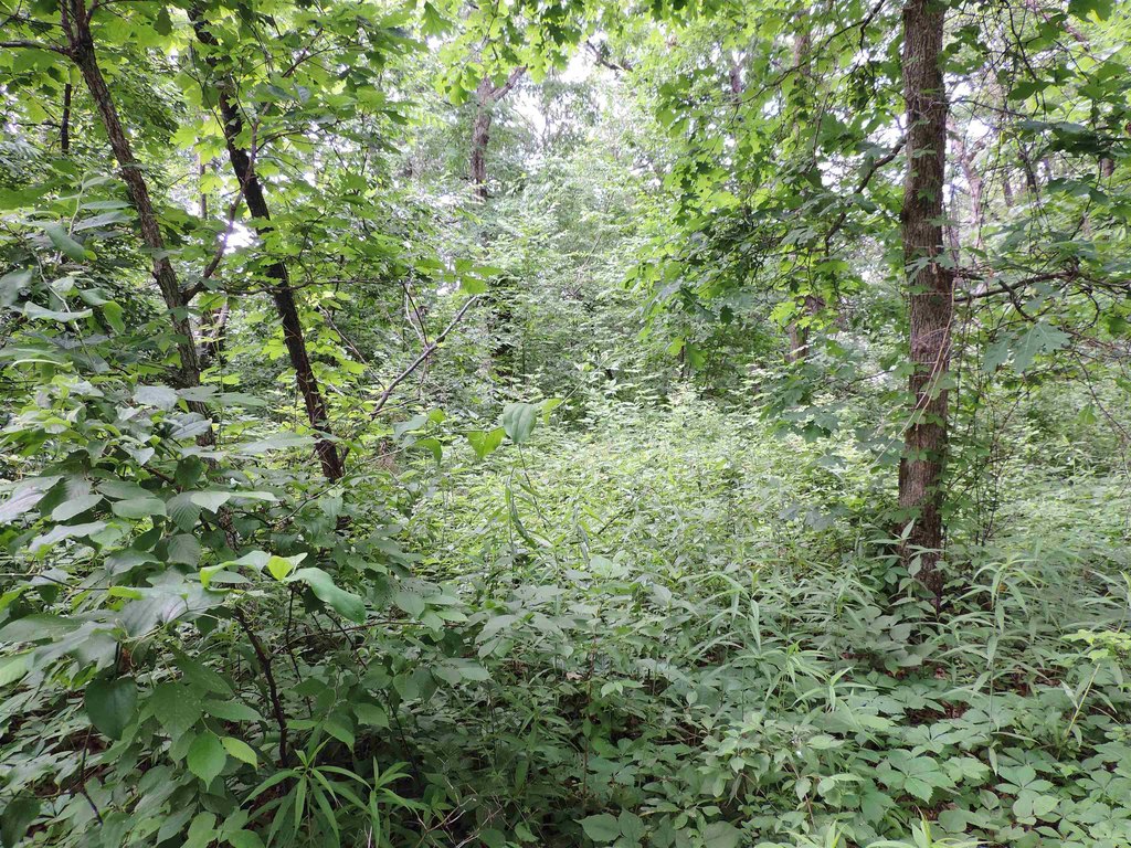 Picture 6
