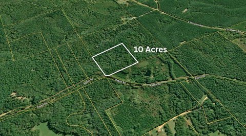 Wooded Hunting and Homestead Land