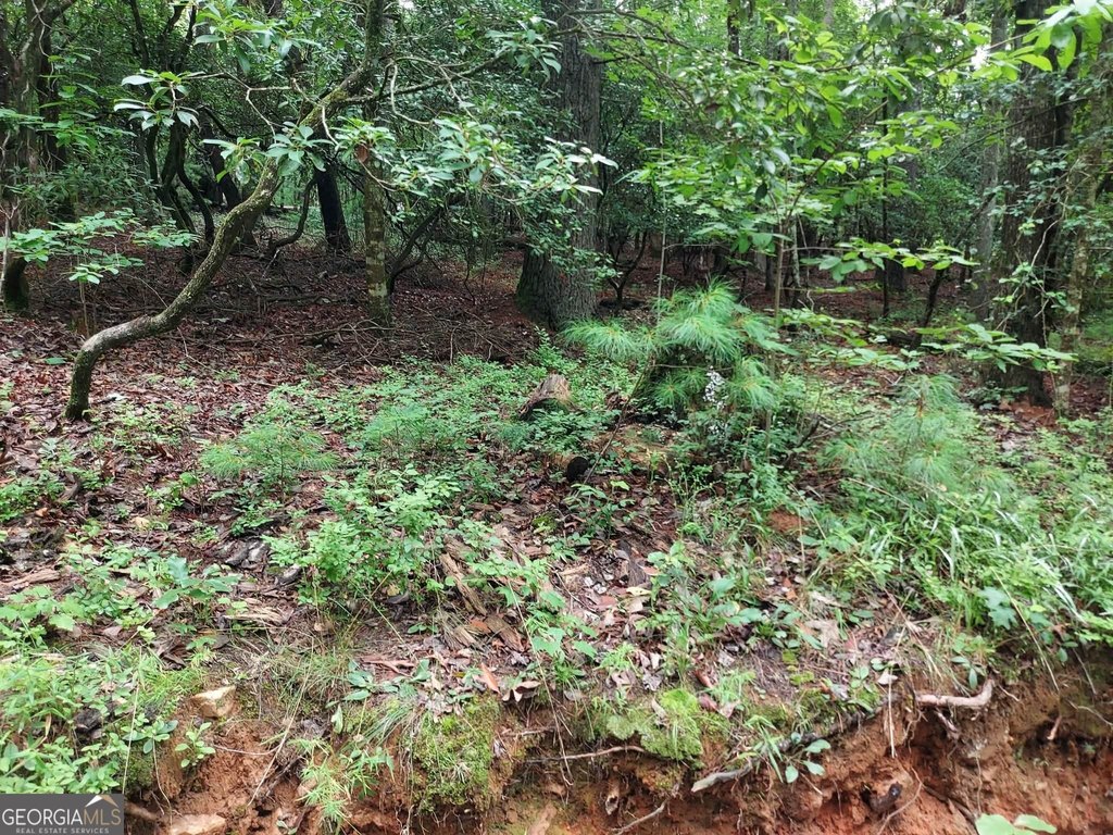Picture 3