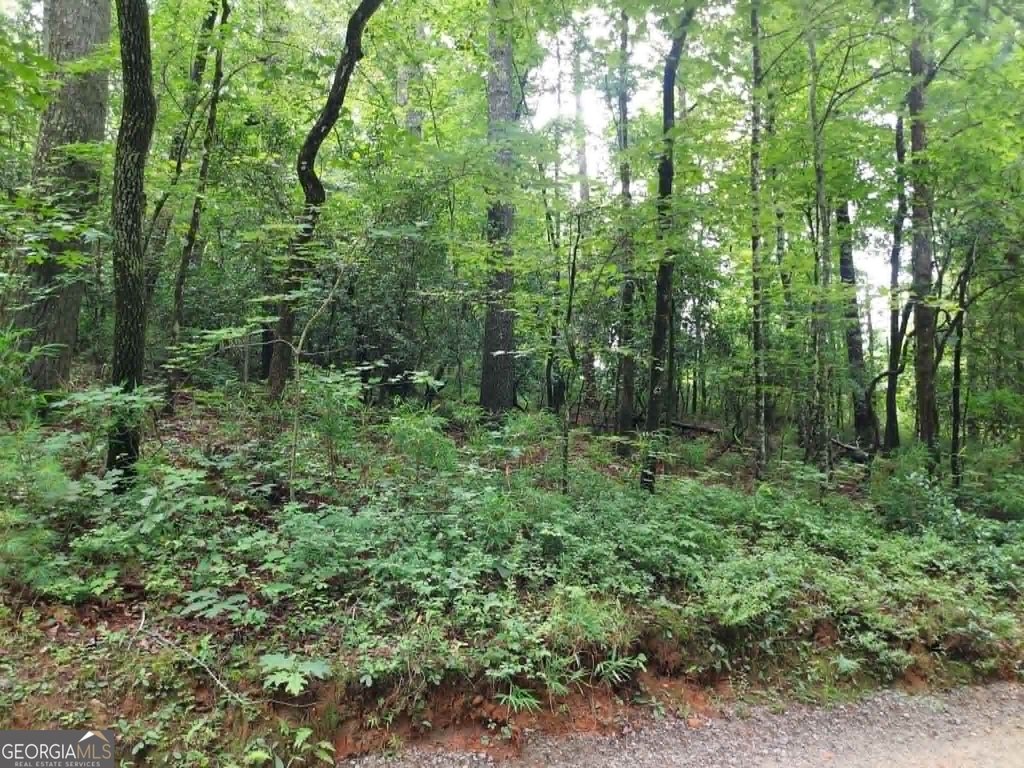 Picture 8