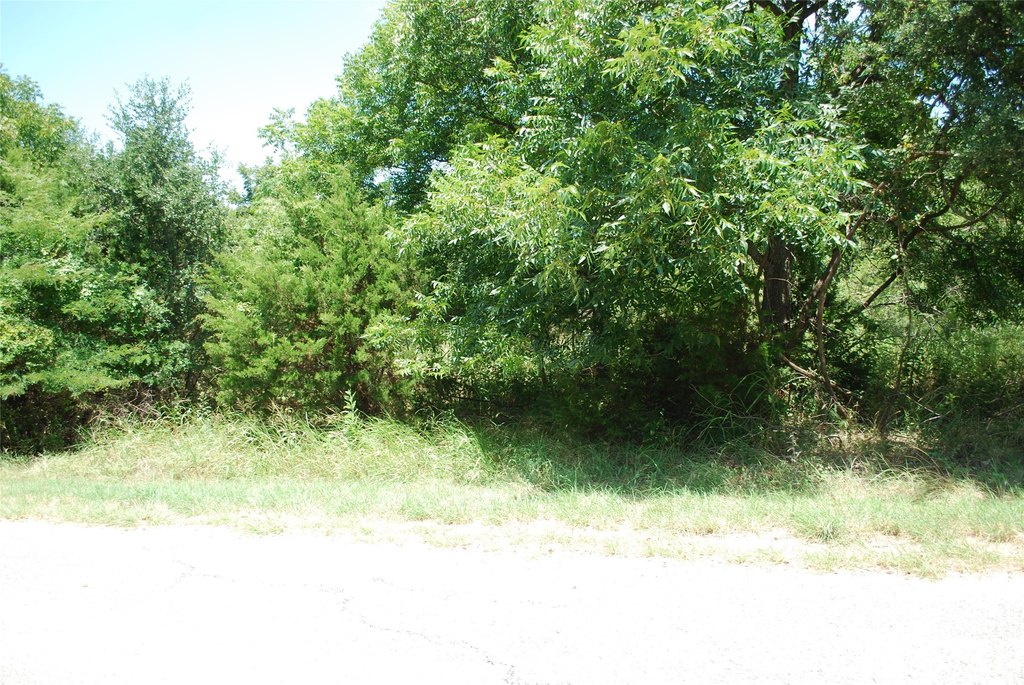 Picture 6