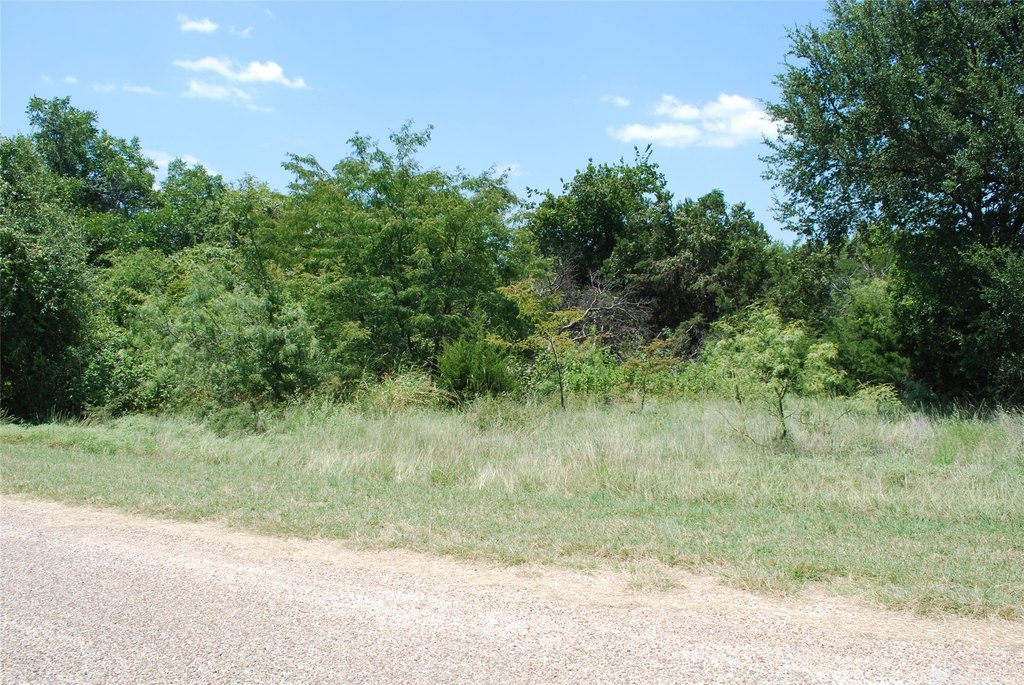 Picture 8