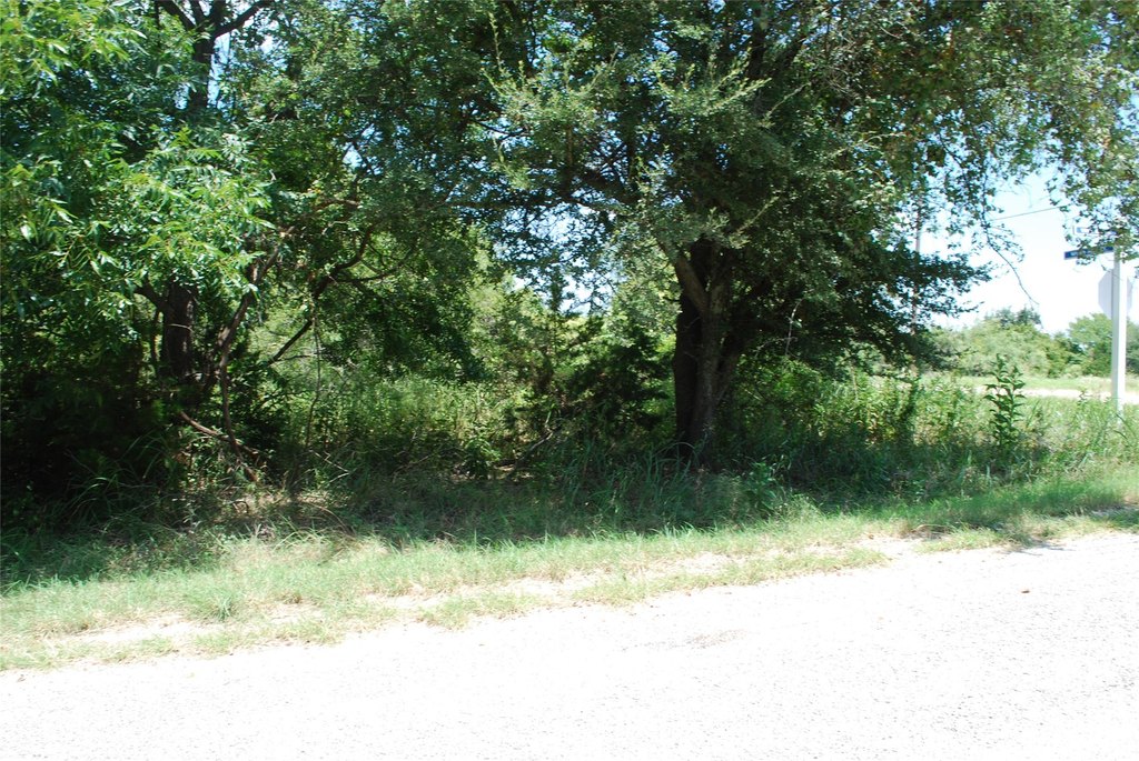 Picture 5