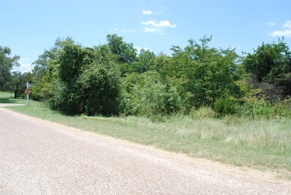 Picture 9