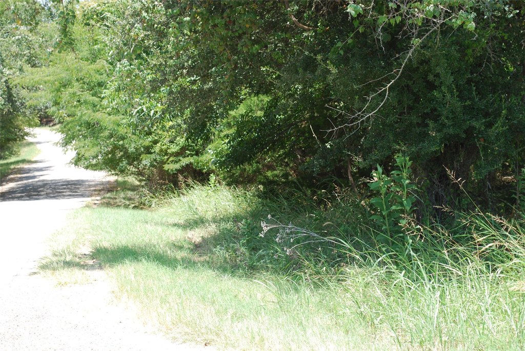 Picture 3
