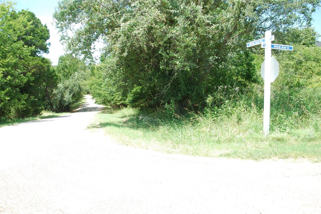 Picture 4