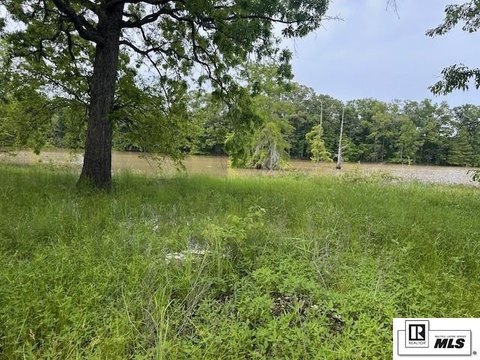LAND - Columbia, LA