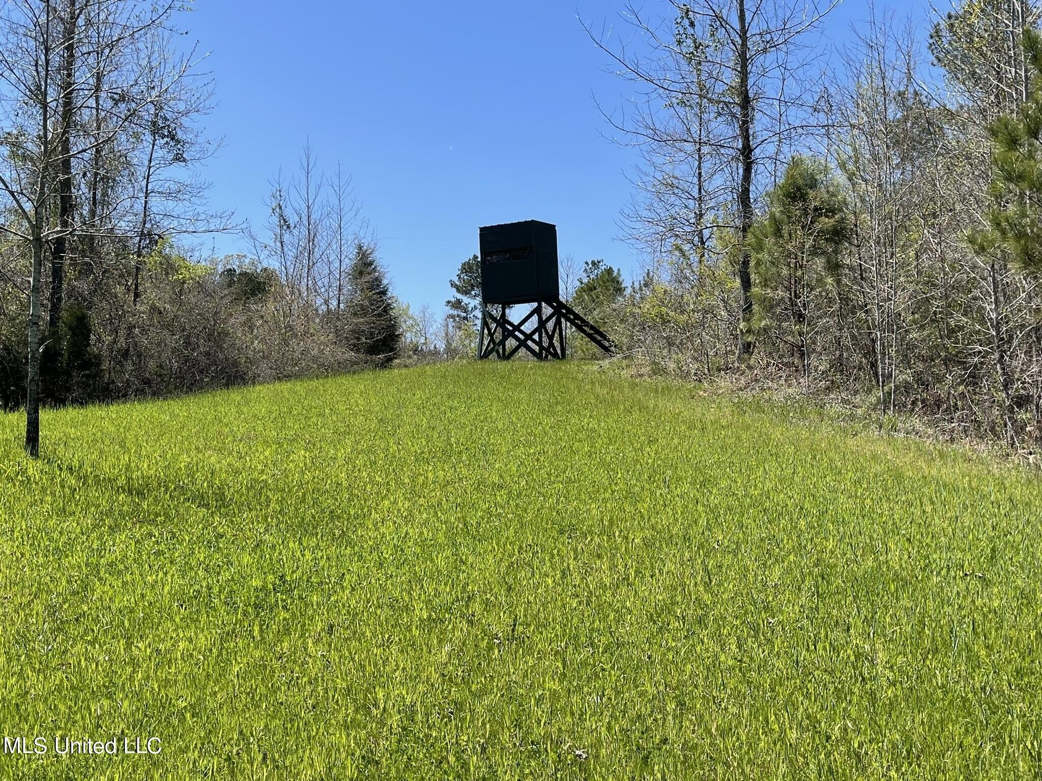 Recreational Hunting Land in Ethel, MS