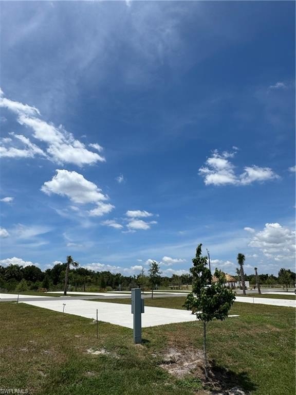 Picture 19