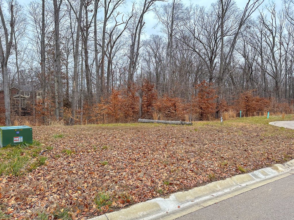 Picture 3