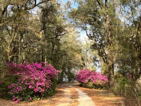 Land, Milton, FL
