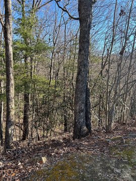 LAND - Hendersonville, NC