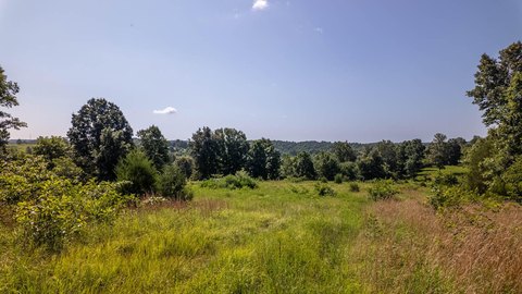 Ozark Land Near Spring River