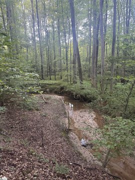 Lots/Land, Honea Path, SC