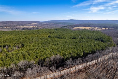 Lots & Acreage, Rockwood, TN