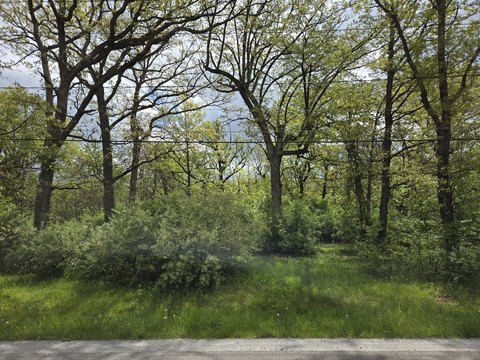 Wooded Land Parcel in Crete