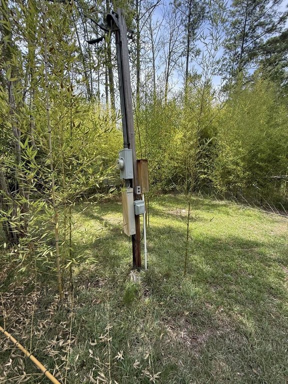 Picture 3