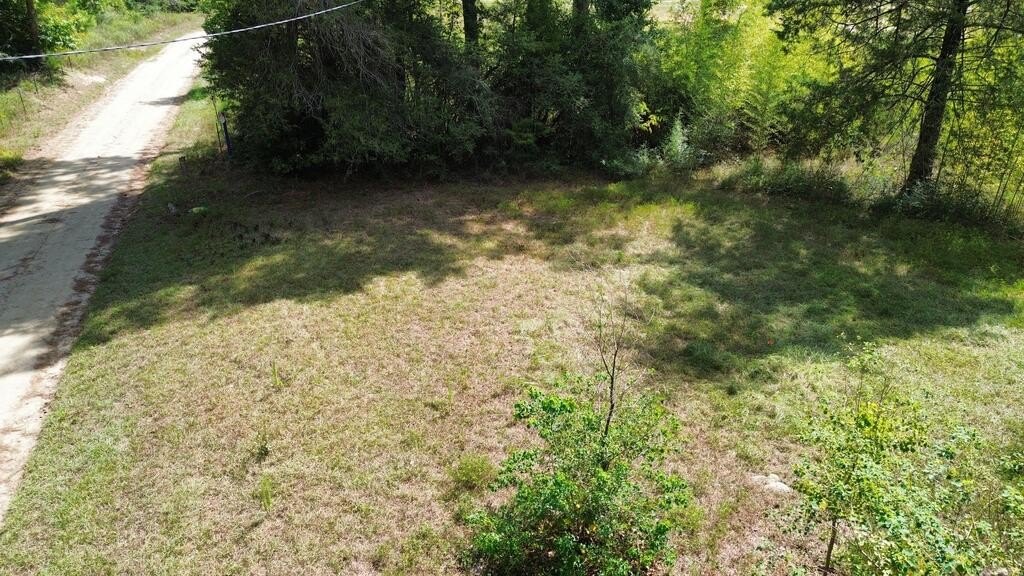 Picture 5