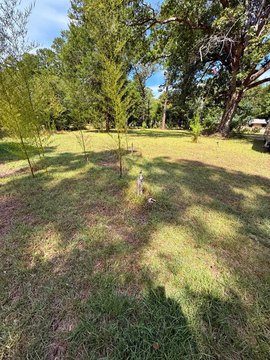 Land, Burkeville, TX