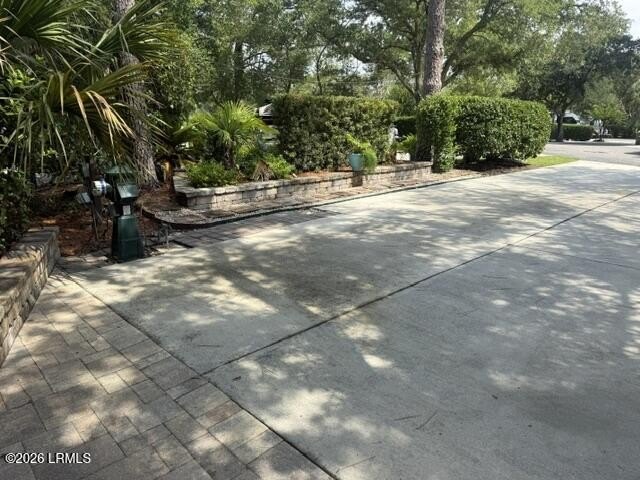 Picture 5