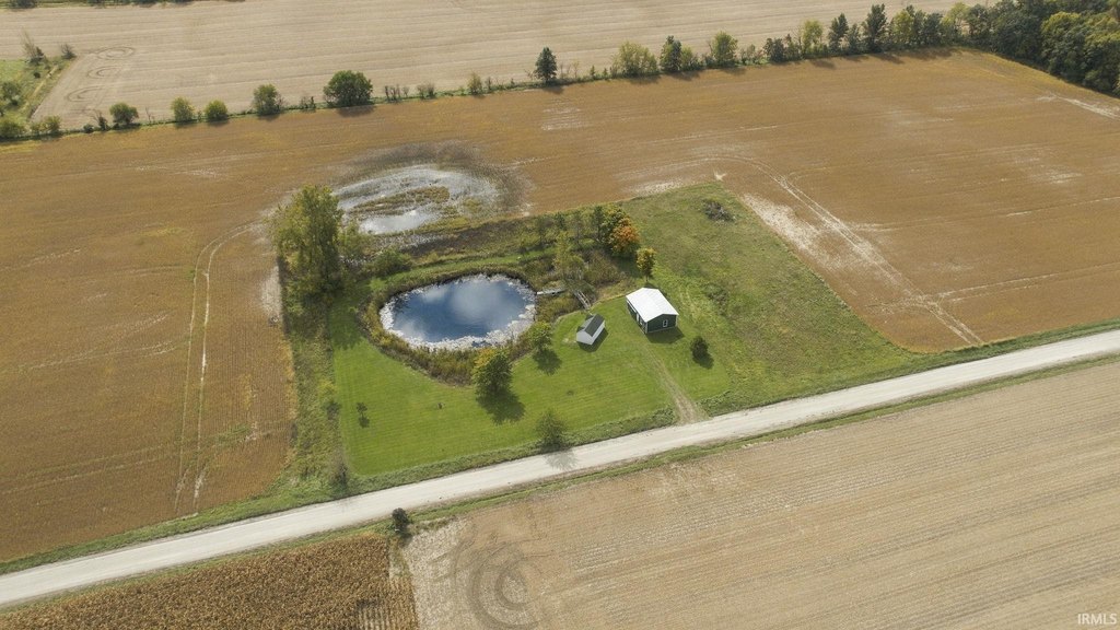 Picture 2