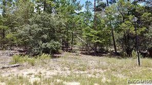Residential Land in Sugarmill Woods
