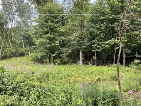 LAND - Holland, MI