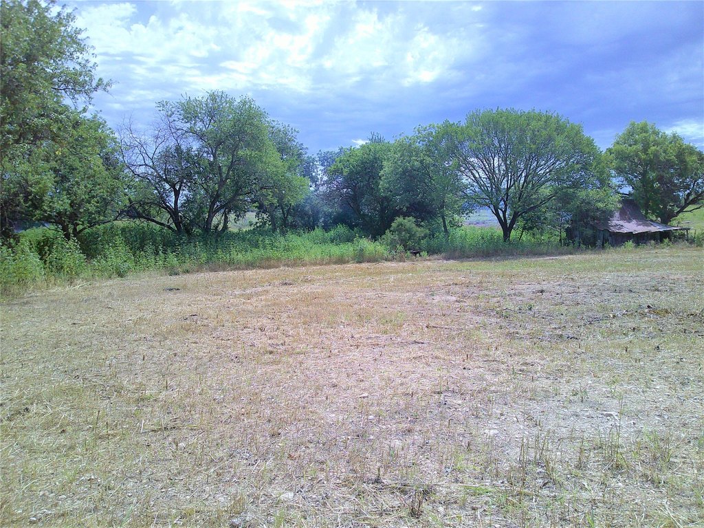 Picture 2