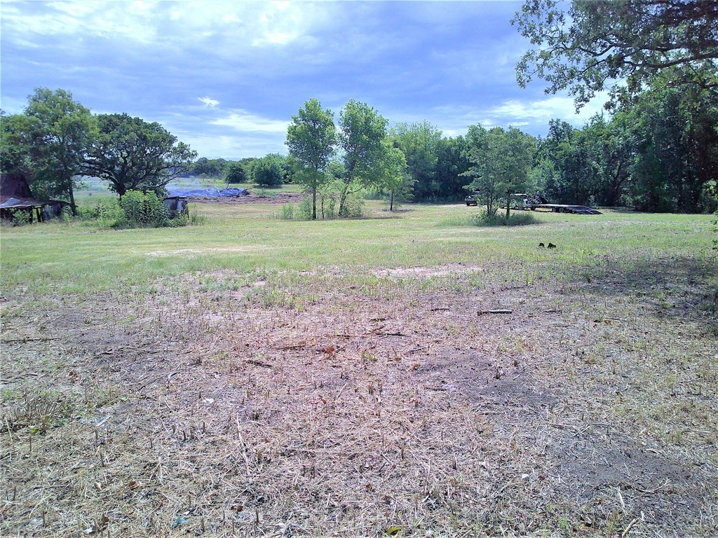 Picture 3
