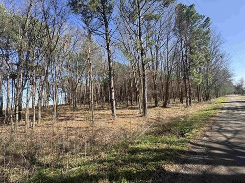Land, Pittsburg, TX