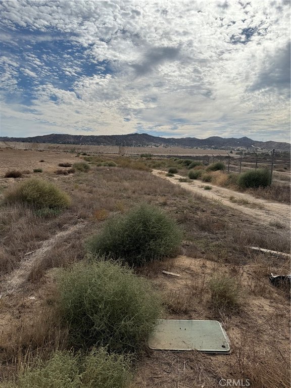 Picture 21