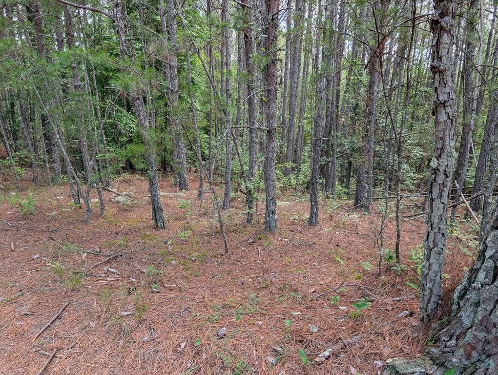 Picture 20