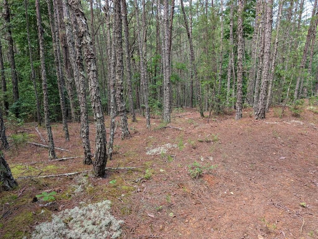 Picture 22