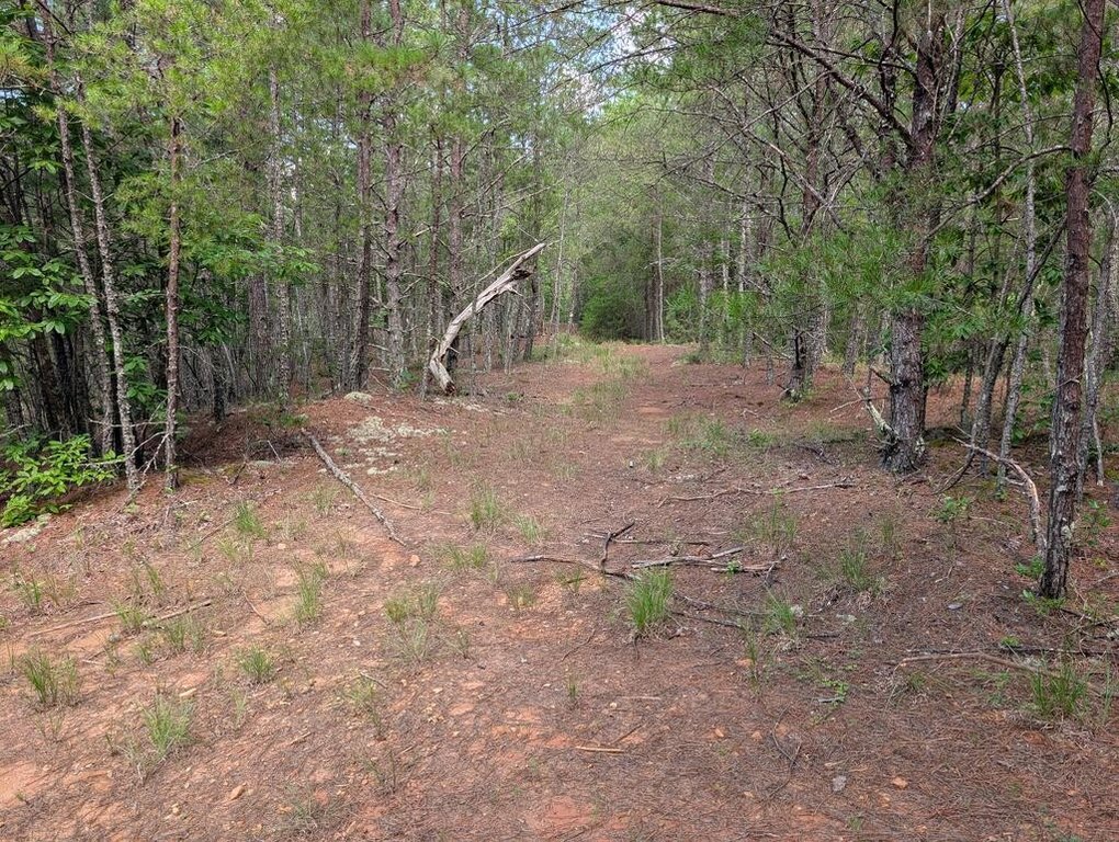 Picture 21