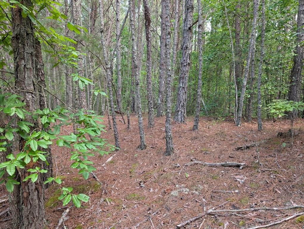 Picture 24