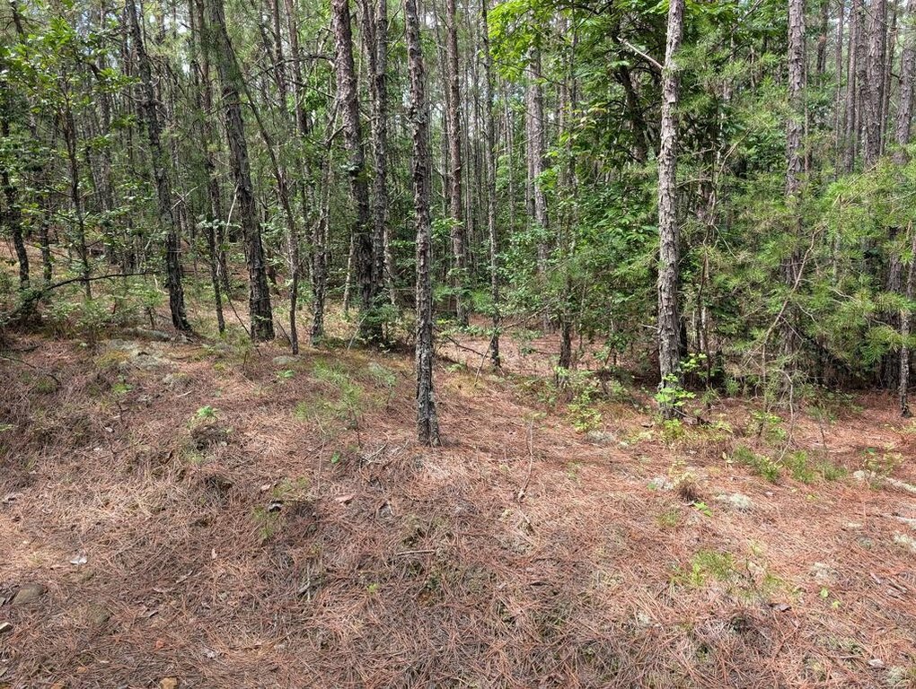 Picture 17