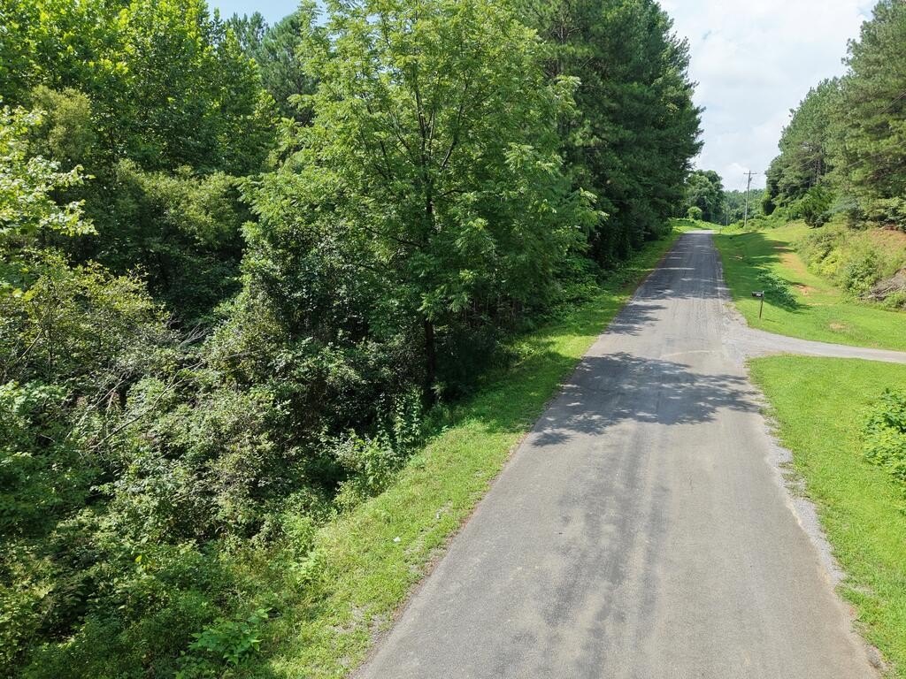 Picture 2