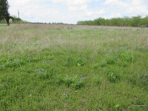 Undeveloped Land in Marlin, TX