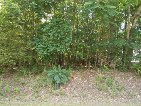 Residential Lot in Camden, TN
