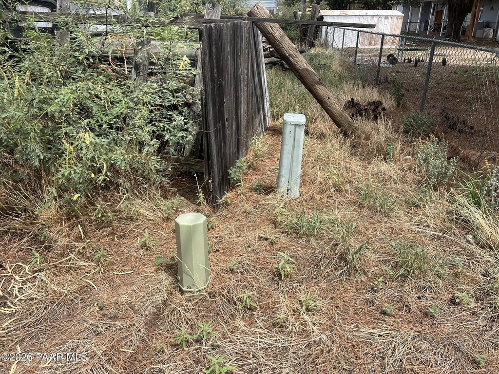 Picture 3