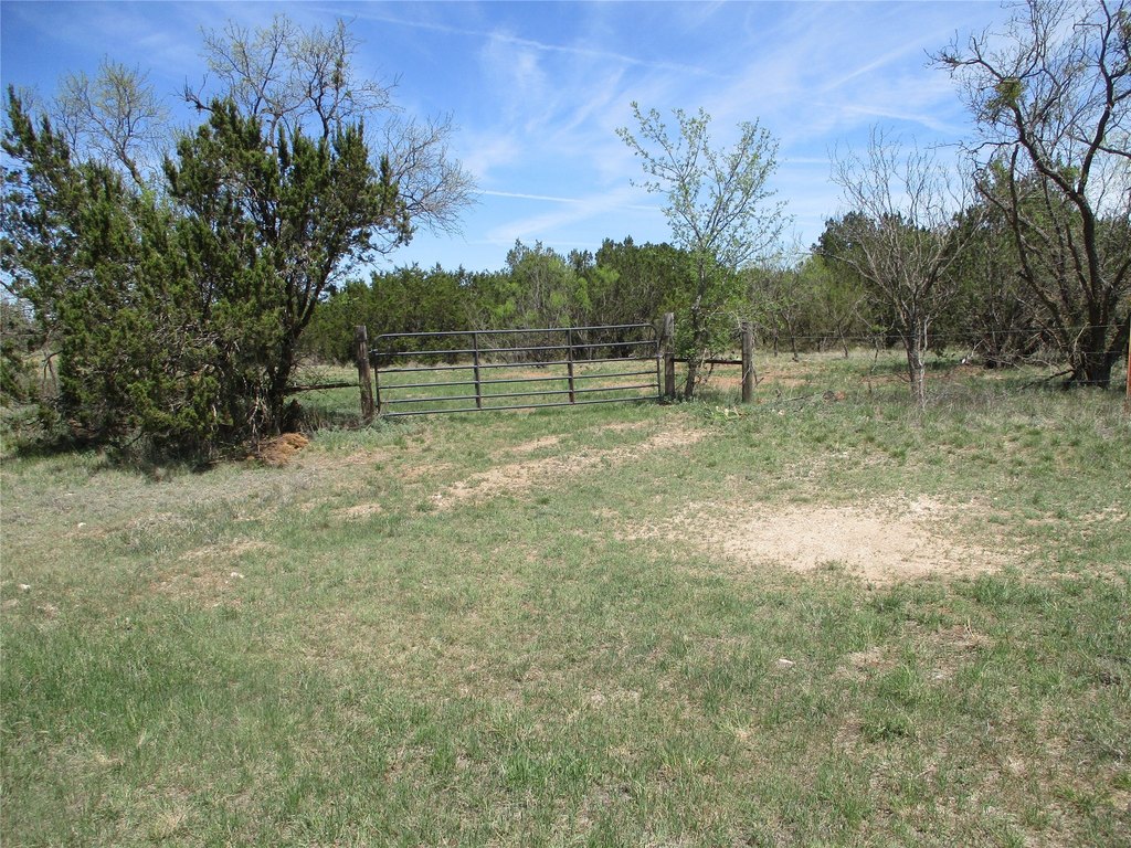 Picture 21