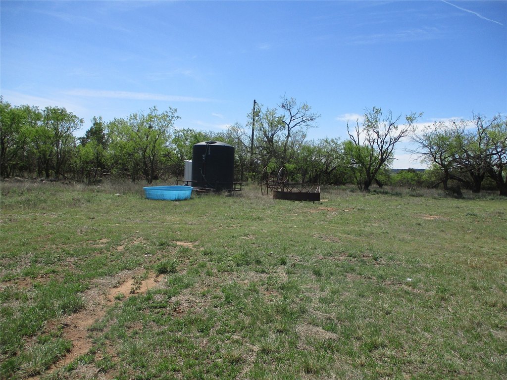 Picture 27