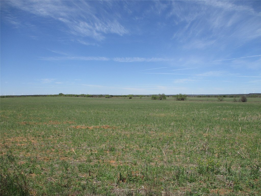 Picture 34