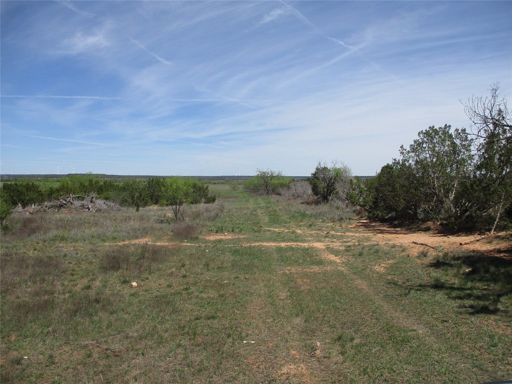 Picture 31