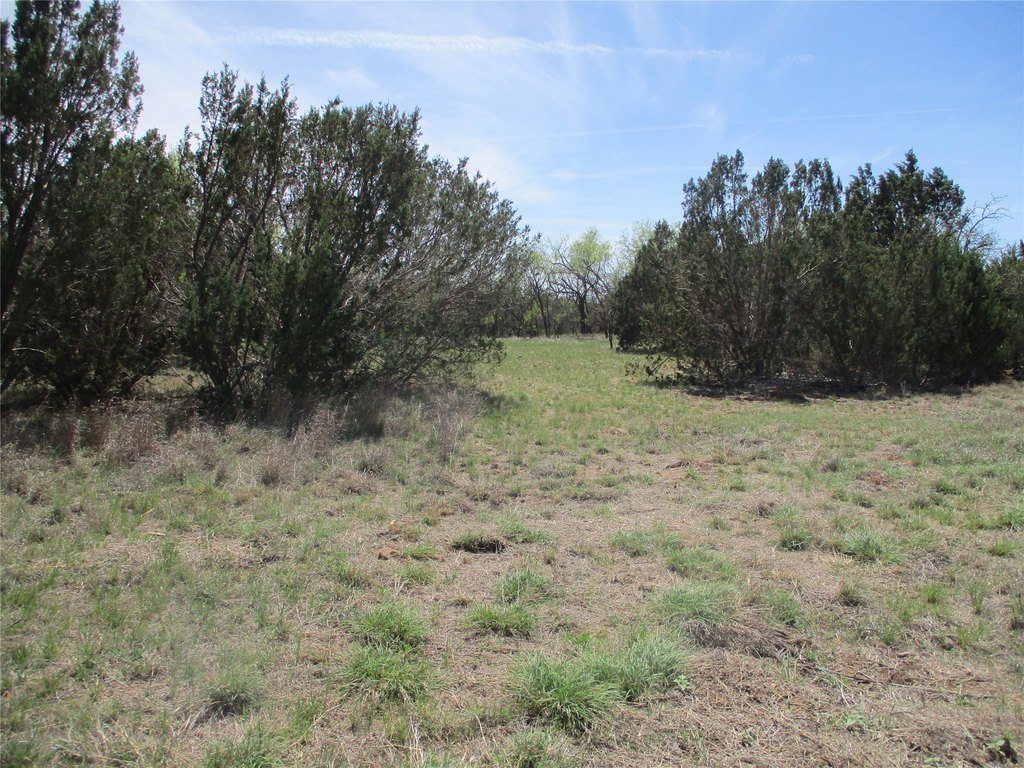 Picture 24