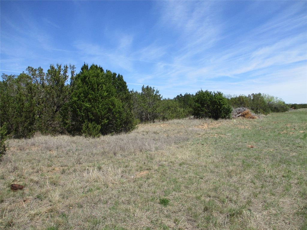 Picture 23
