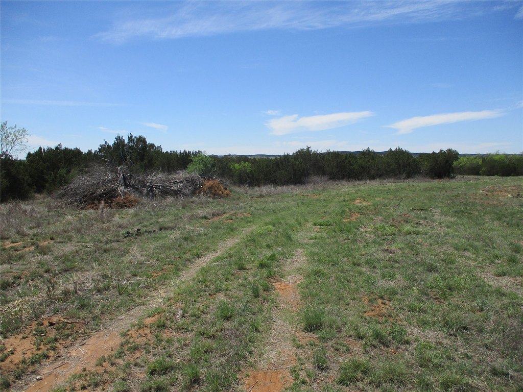 Picture 26