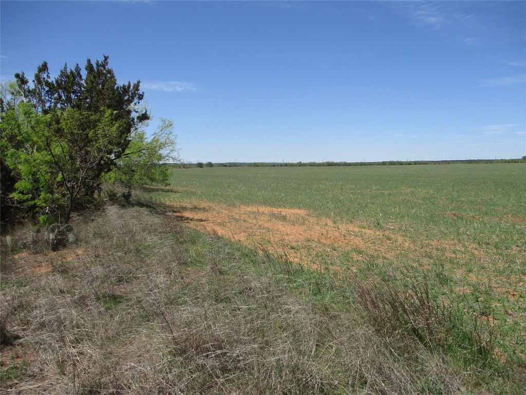 Picture 35