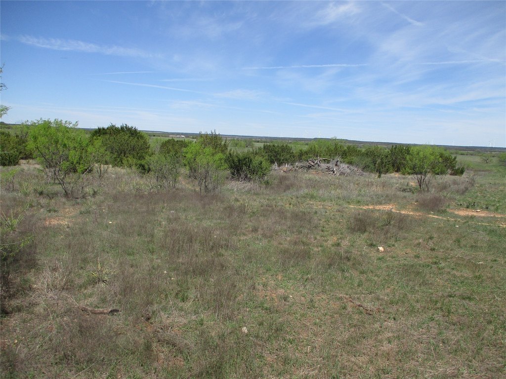 Picture 30